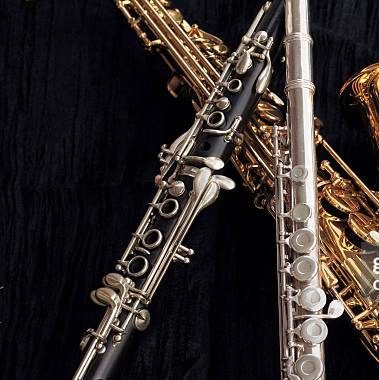 INSTRUMENTOS DE VIENTO